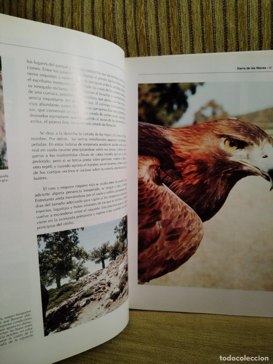 Libros de segunda mano: M&aacute;laga al natural Prensa malague&ntilde;a - Foto 7