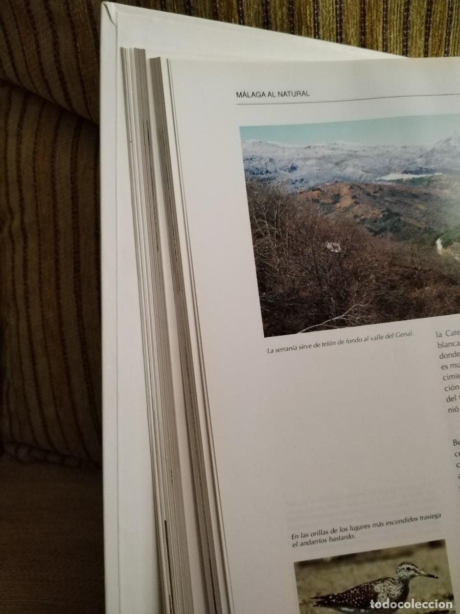 Libros de segunda mano: M&aacute;laga al natural Prensa malague&ntilde;a - Foto 8