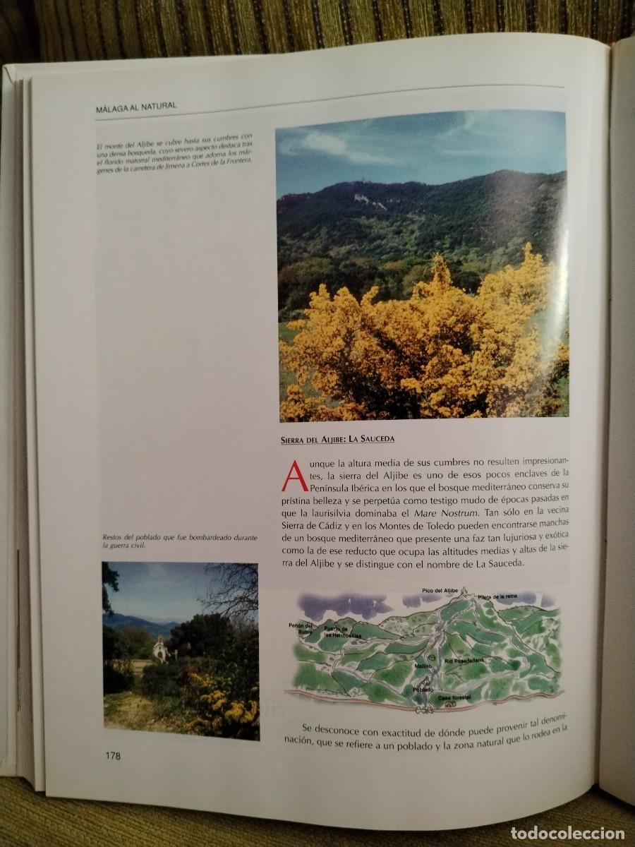 Libros de segunda mano: M&aacute;laga al natural Prensa malague&ntilde;a - Foto 9