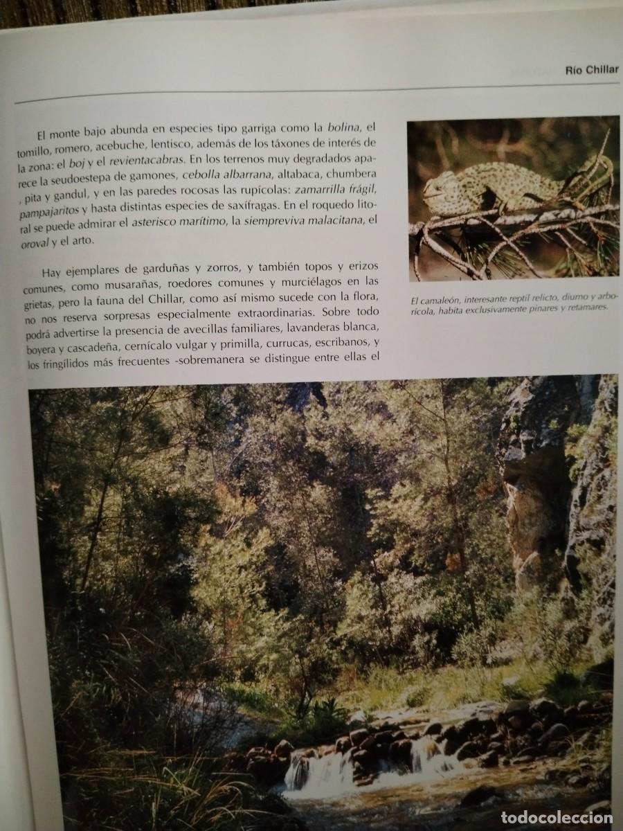 Libros de segunda mano: M&aacute;laga al natural Prensa malague&ntilde;a - Foto 10