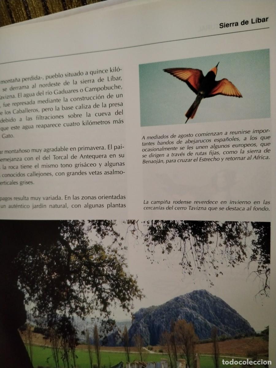 Libros de segunda mano: M&aacute;laga al natural Prensa malague&ntilde;a - Foto 11
