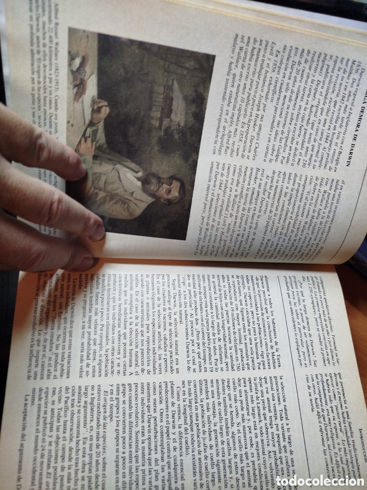 Libros de segunda mano: Biolog&iacute;a. Elena Curtis. Darwin. Panamericana - Foto 3