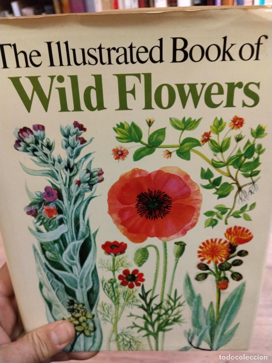 Gebrauchte B&uuml;cher: The Illustrated book of Wild Flowers
