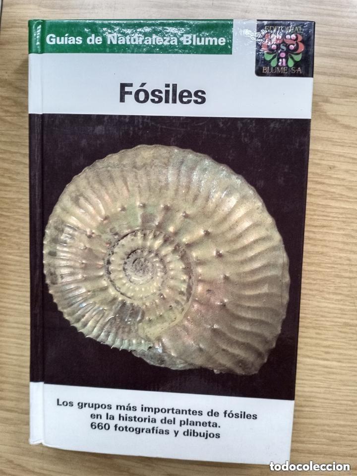 Libros de segunda mano: FOSILES - EDITORIAL BLUME - Foto 1