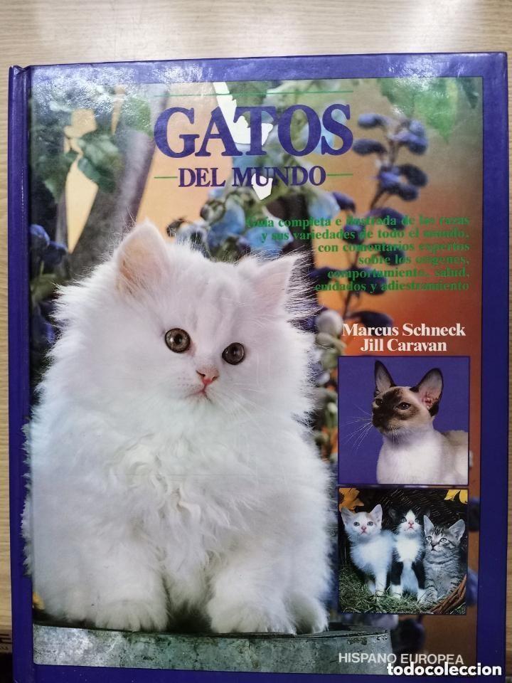 Libros de segunda mano: GATOS DEL MUNDO - LIBRO CON TAPAS DURAS