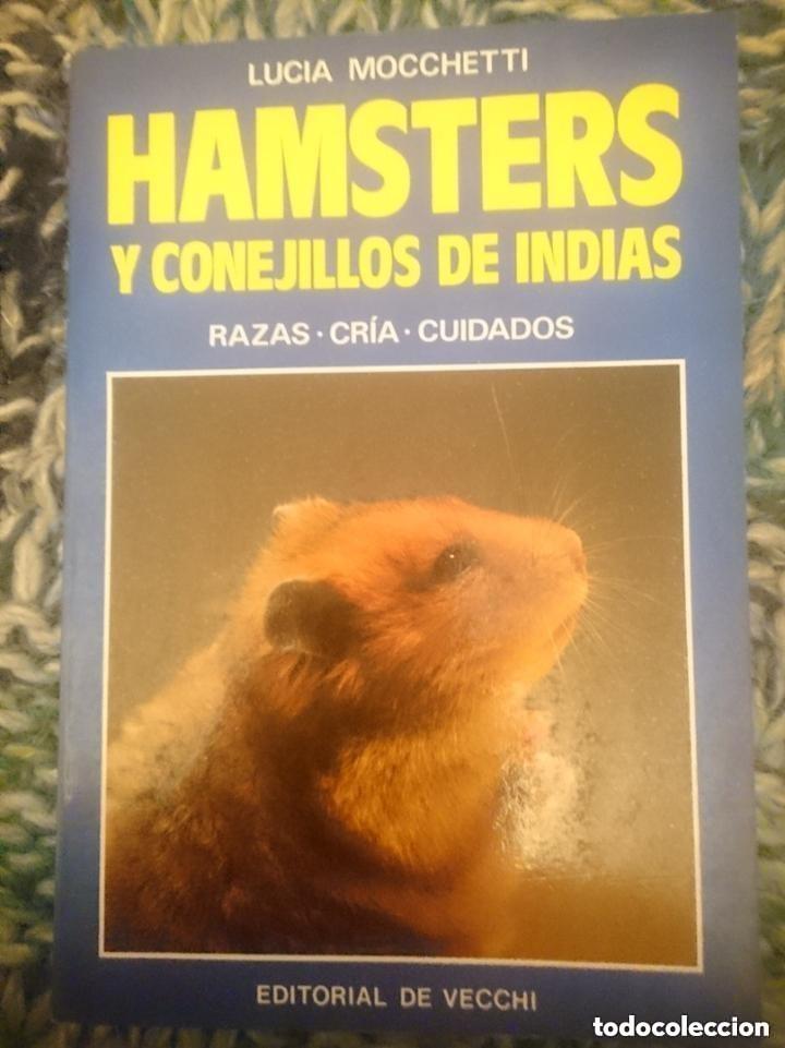 Libros de segunda mano: HAMSTERS Y CONEJILLOS DE INDIAS -A&Ntilde;OS 80