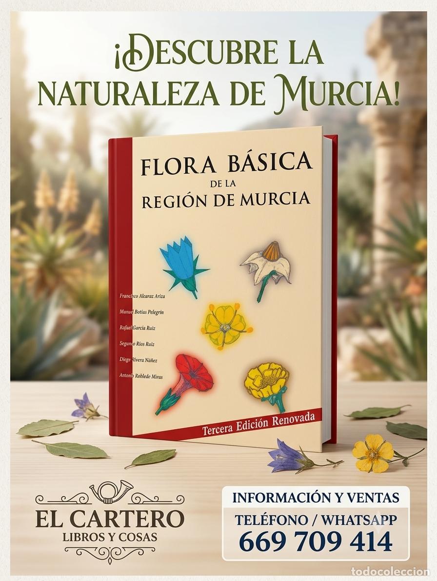 Libros de segunda mano: FLORA B&Aacute;SICA DE LA REGI&Oacute;N DE MURCIA - ALCARAZ ARIZA, FRANCISCO; BOT&Iacute;AS PELEGR&Iacute;N,,MANUEL; R&Iacute;OS RUIZ,