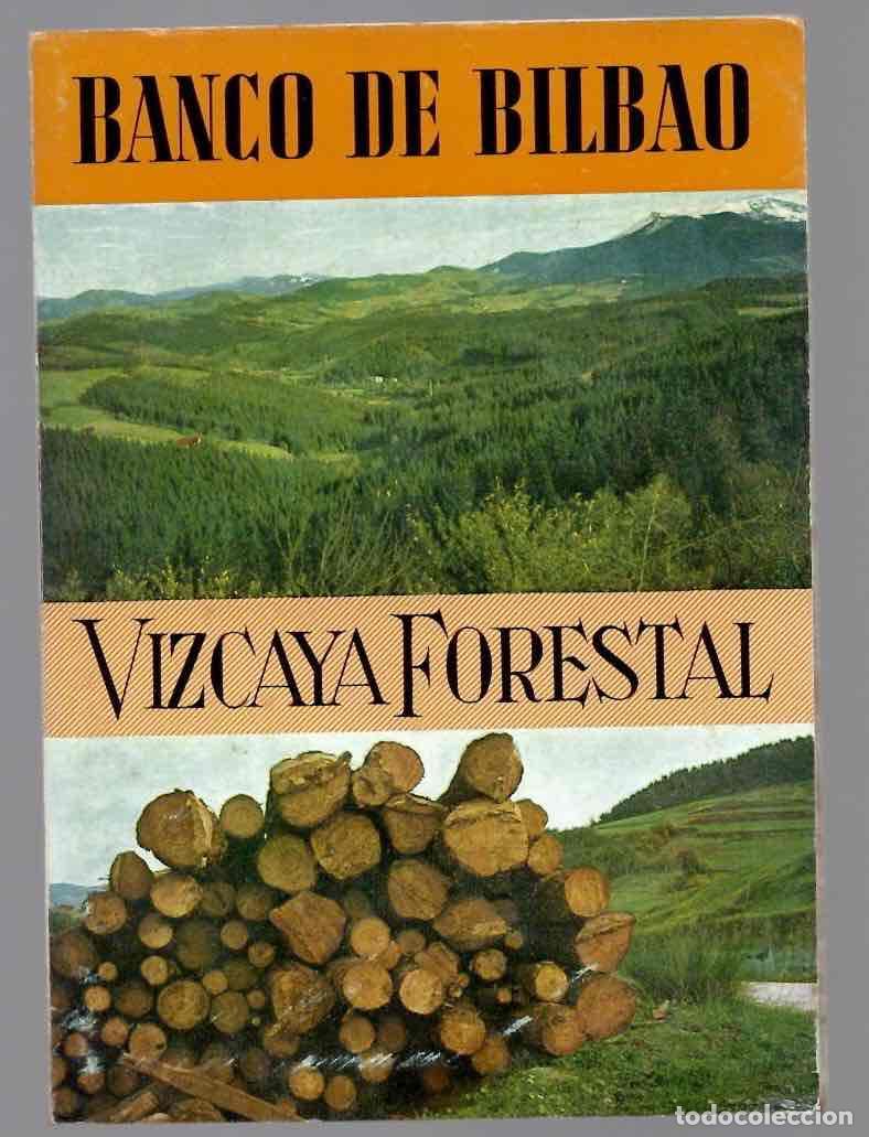 Libros de segunda mano: VIZCAYA FORESTAL. EDICION DEL BANCO DE BILBAO. CON MAPA DESPLEGABLE, A&Ntilde;OS 70