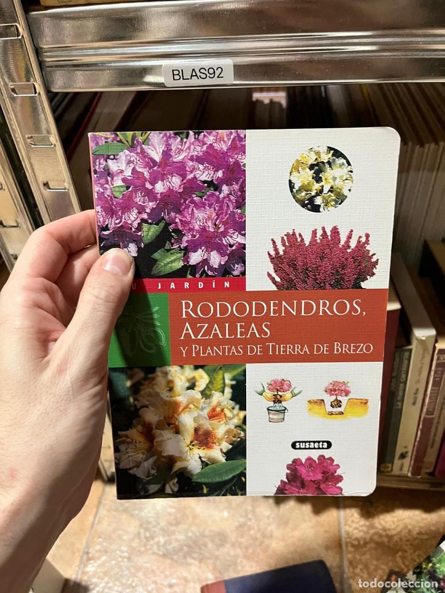Libros de segunda mano: BLAS92 Rododendros, azaleas y plantas de tierra de brezo (Susaeta)