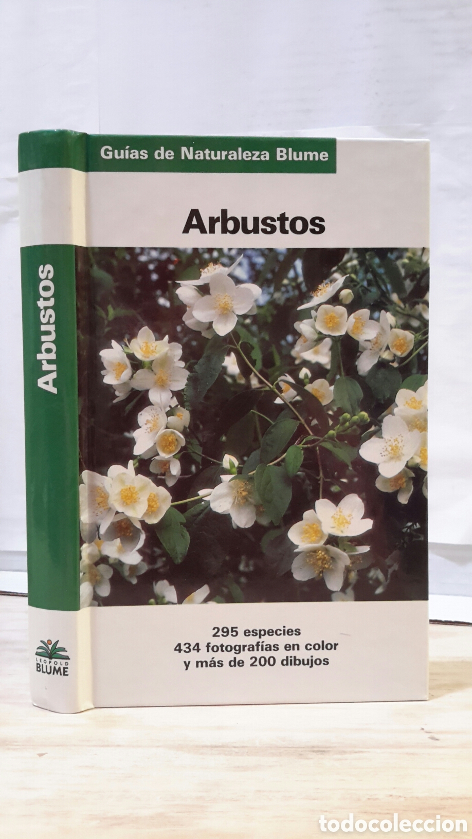 Gebrauchte B&uuml;cher: Arbustos. 295 especies. 434 fotografias en color y mas de 200 dibujos.