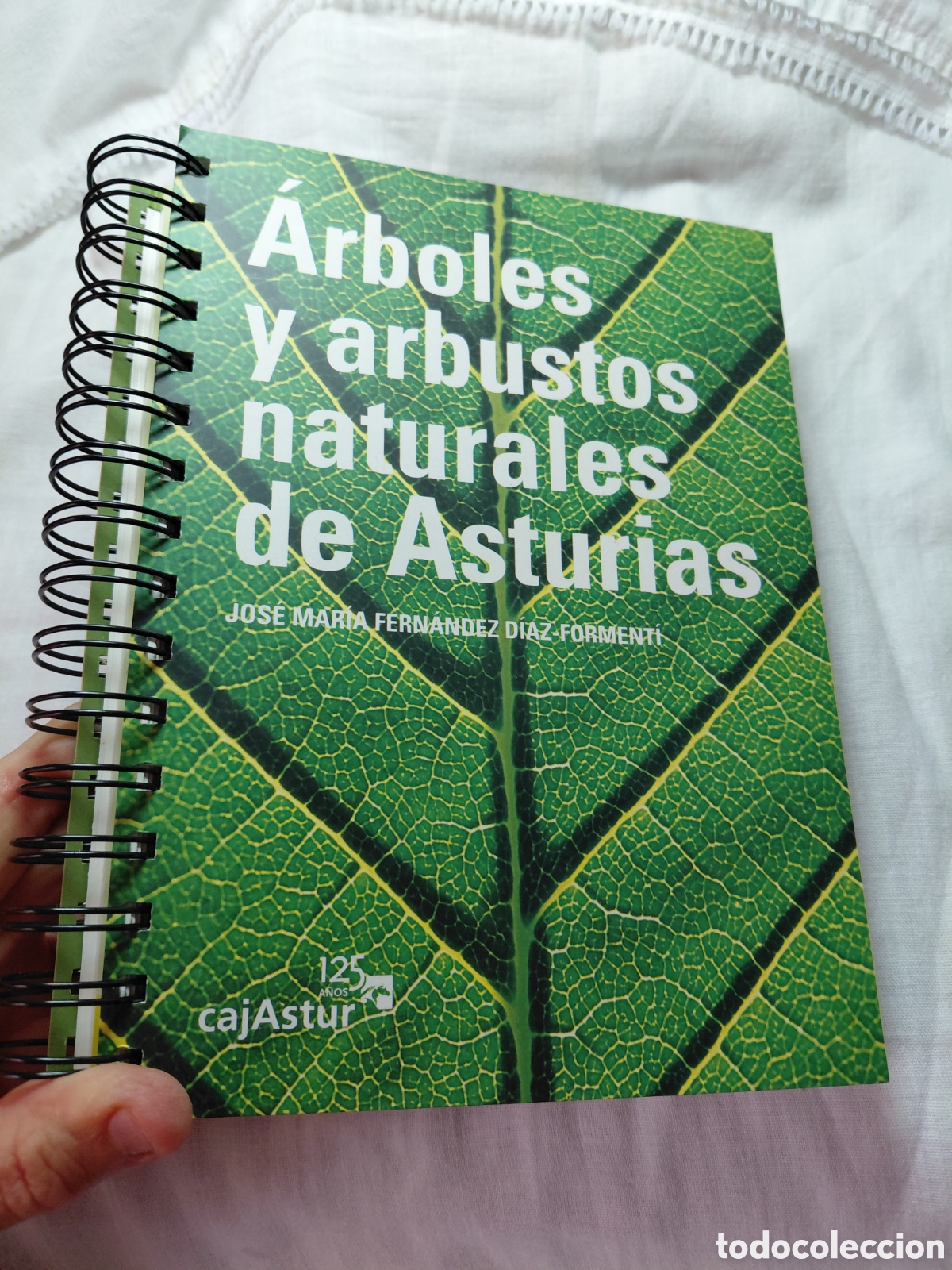 Libros de segunda mano: ARBOLES Y ARBUSTOS NATURALES DE ASTURIAS.JOSE MARIA FERNANDEZ DIAZ-FORMENTI.CAJASTUR 2004