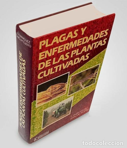 Libros de segunda mano: �F3825 - PLAGAS Y ENFERMEDADES DE LAS PLANTAS CULTIVADAS. HUERTO. FRUTALES. D. GARCIA TEJERO.