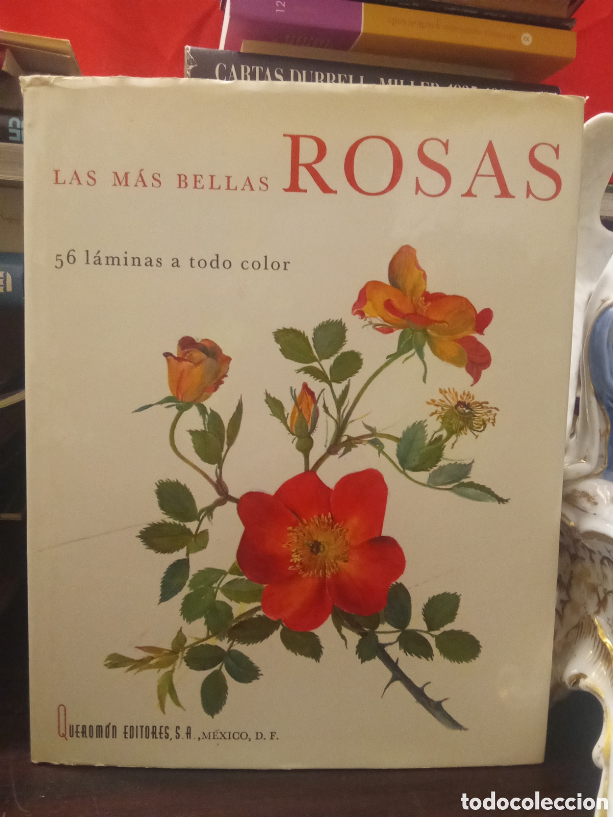 Second hand books: LAS M&Aacute;S BELLAS ROSAS - 56 L&Aacute;MINAS A TODO COLOR - QUEROM&Oacute;N M&Eacute;XICO 1966