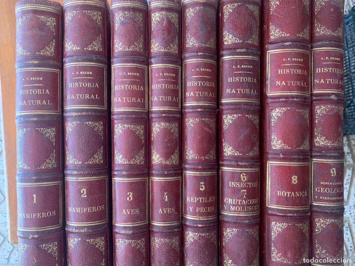 Libros de segunda mano: Historia Natural 9 toma completa de Montaner y Sim&oacute;n Editores