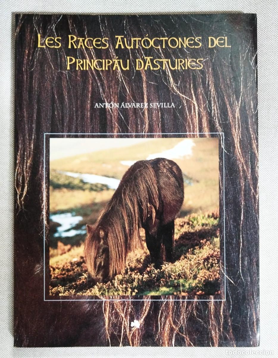 Livres d'occasion: LES RACES AUT&Oacute;CTONES DEL PRINCIP&Aacute;U D'ASTURIES. ANT&Oacute;N &Aacute;LVAREZ. BELENOS, 2001. EN ESPA&Ntilde;OL Y BABLE.