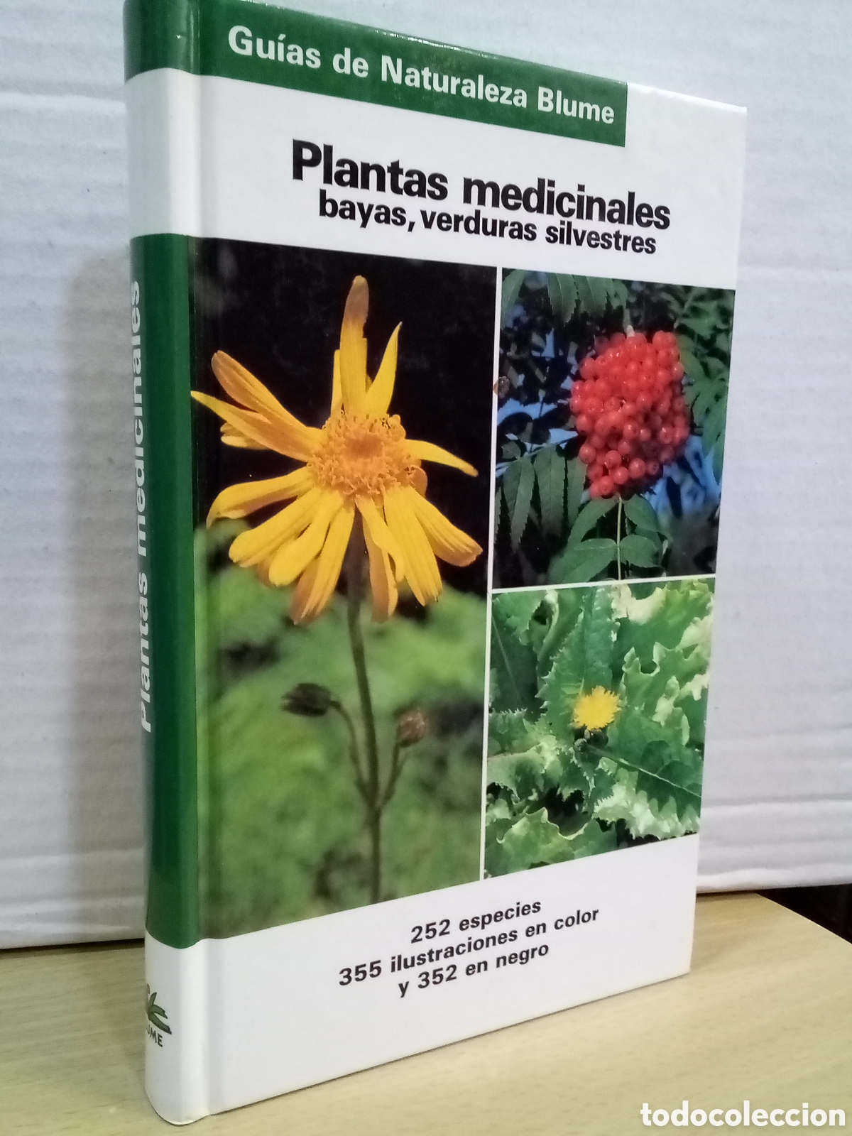 Libros de segunda mano: Plantas medicinales: bayas, verduras silvestres
