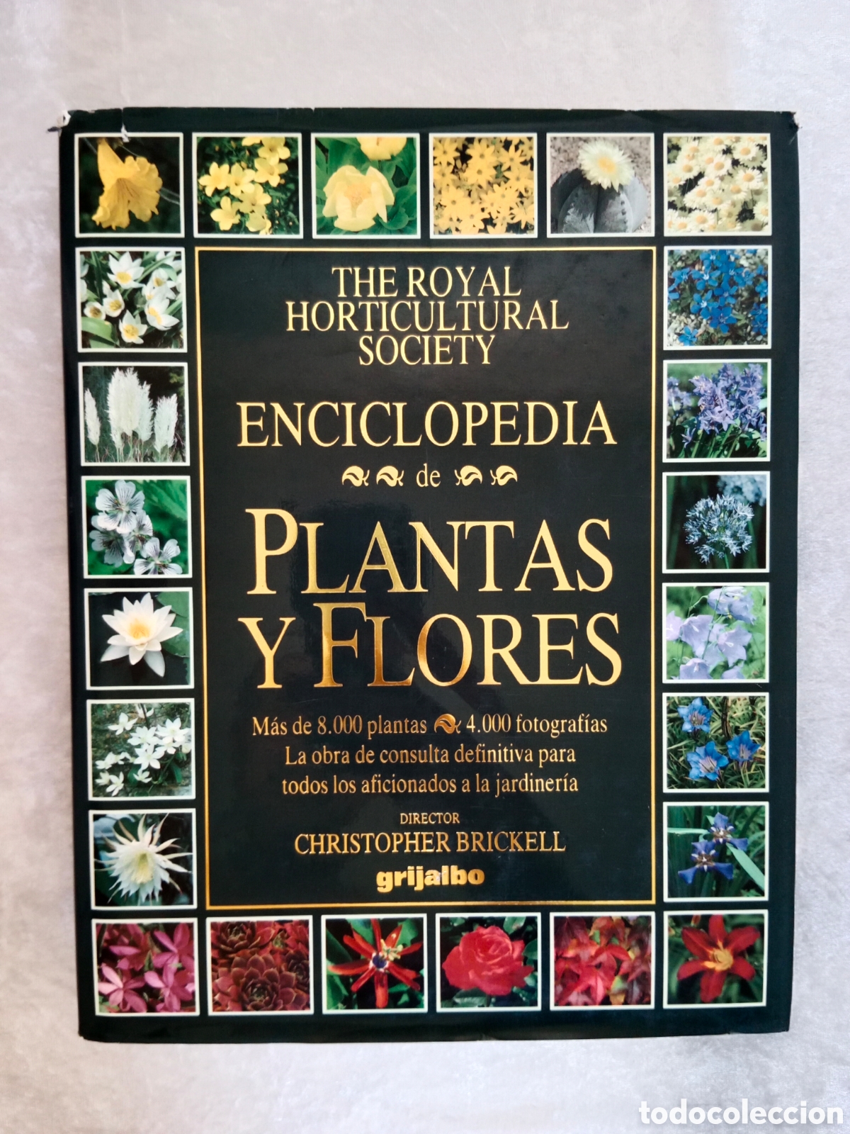 Libros de segunda mano: ENCICLOPEDIA DE PLANTAS Y FLORES, CRISTOPHER BRICKELL , THE ROYAL HORTICULTURAL SOCIETY, GRIJALBO
