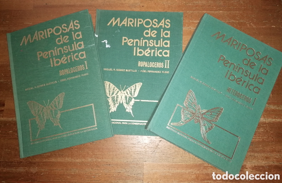 Libros de segunda mano: MARIPOSAS DE LA PEN&Iacute;NSULA IB&Eacute;RICA - Miguel R. Gomez Bustillo - Fidel Fernandez Rubio