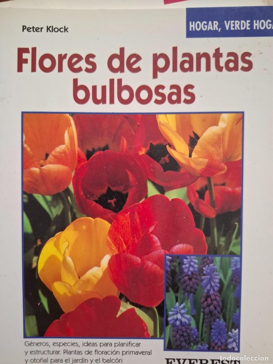 Libri di seconda mano: flores de plantas bulbosas Peter Klock