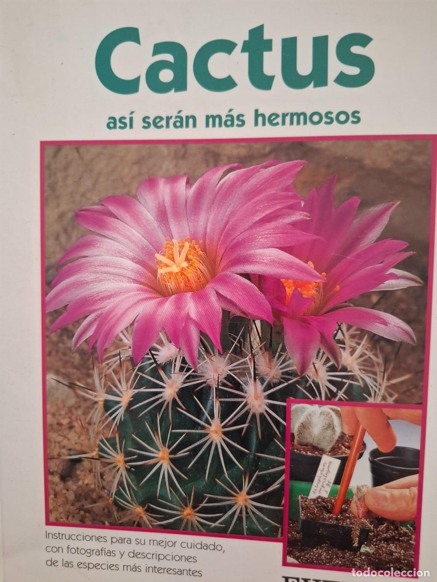 Libros de segunda mano: Cactus as&iacute; ser&aacute;n m&aacute;s hermosos Franz Becherer