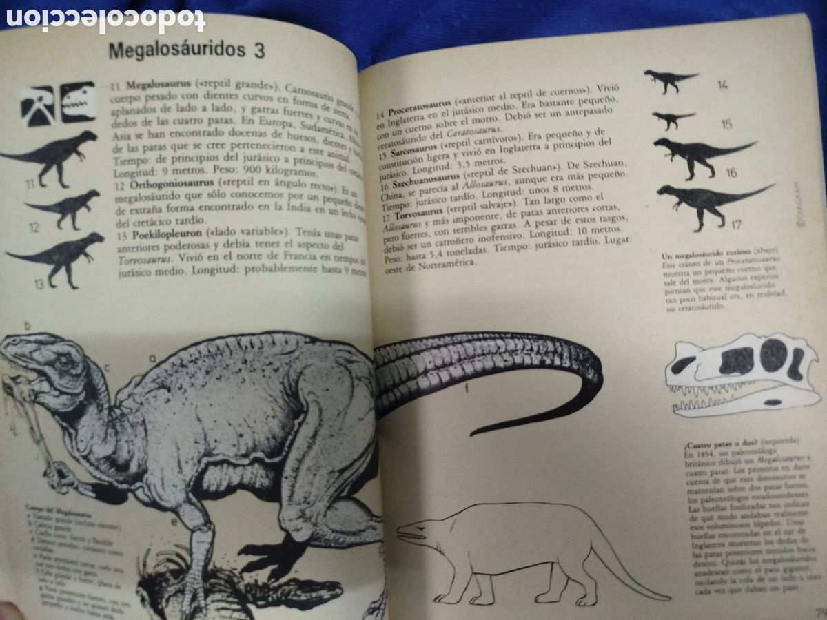 Libros de segunda mano: Gu&iacute;a de campo de los dinosaurios - Foto 2