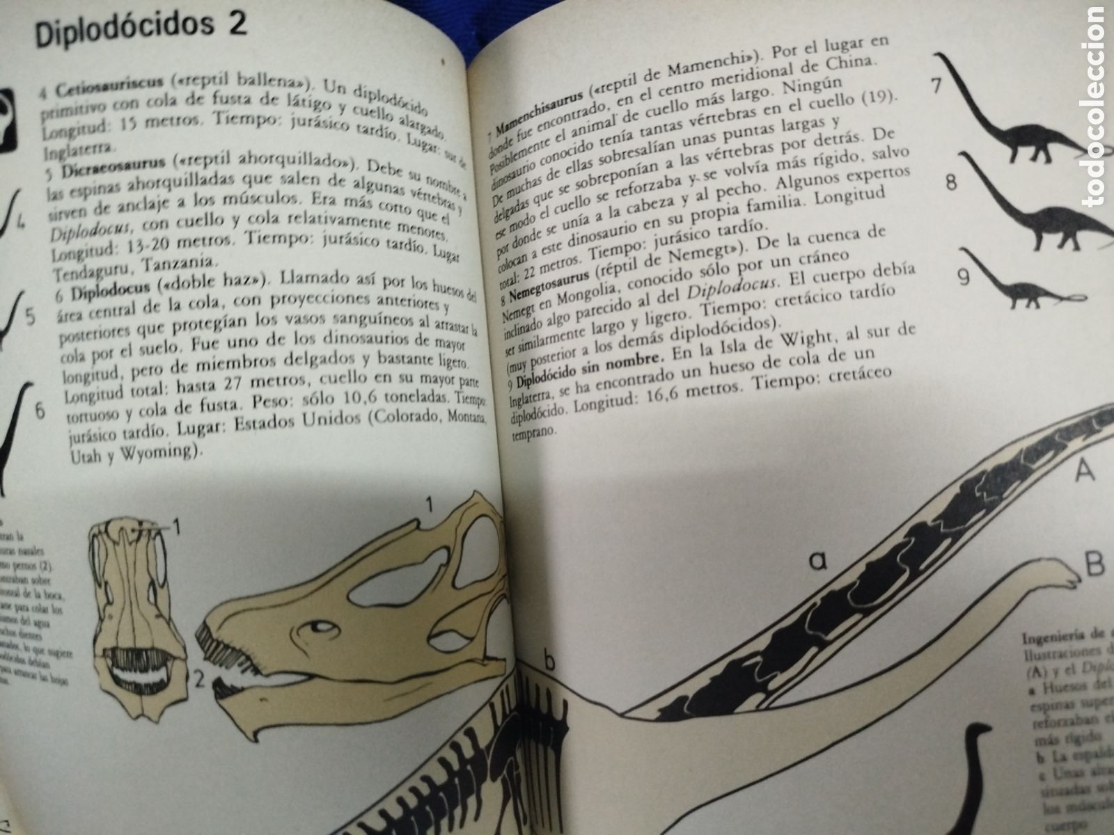 Libros de segunda mano: Gu&iacute;a de campo de los dinosaurios - Foto 3