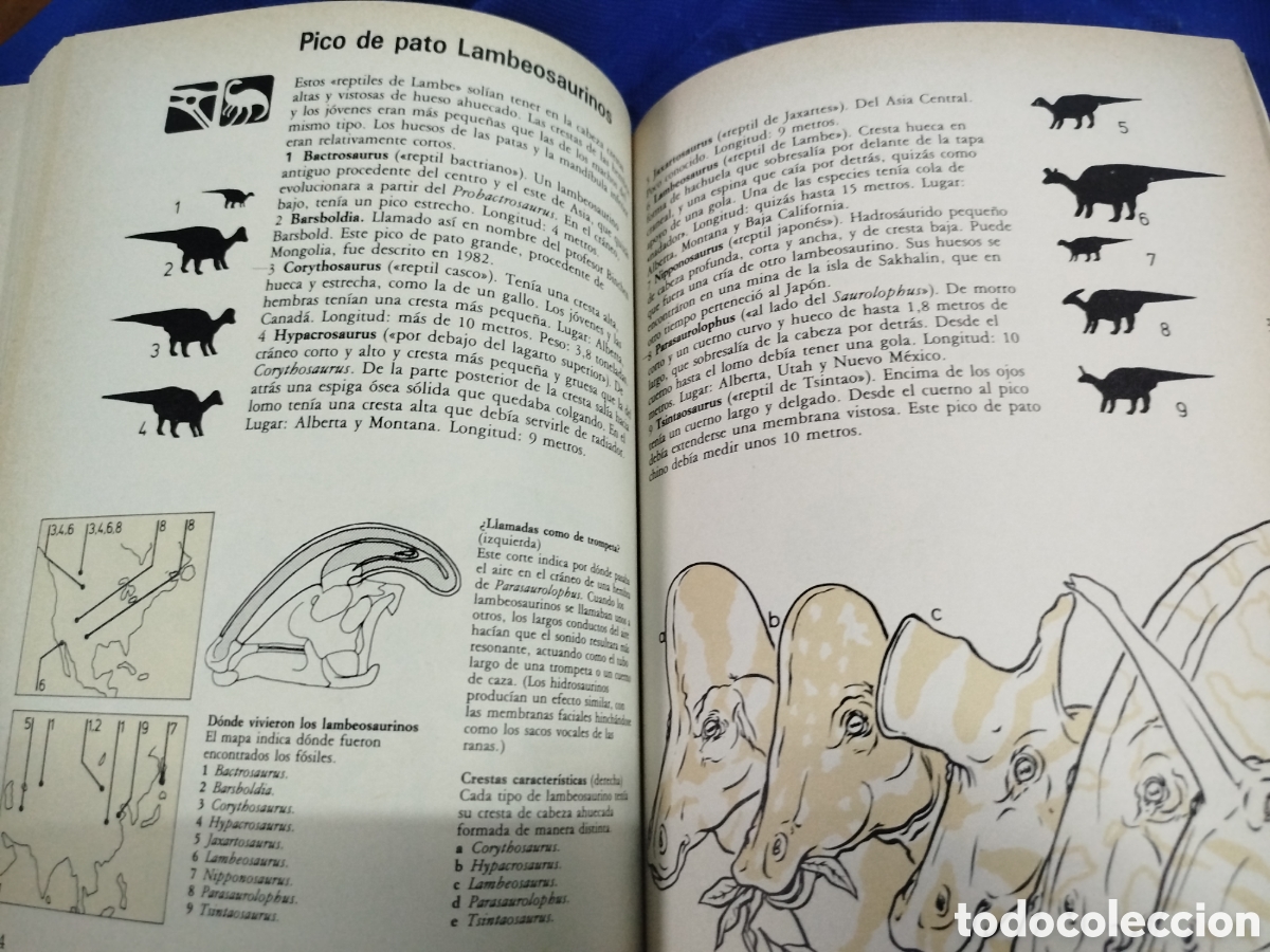 Libros de segunda mano: Gu&iacute;a de campo de los dinosaurios - Foto 4