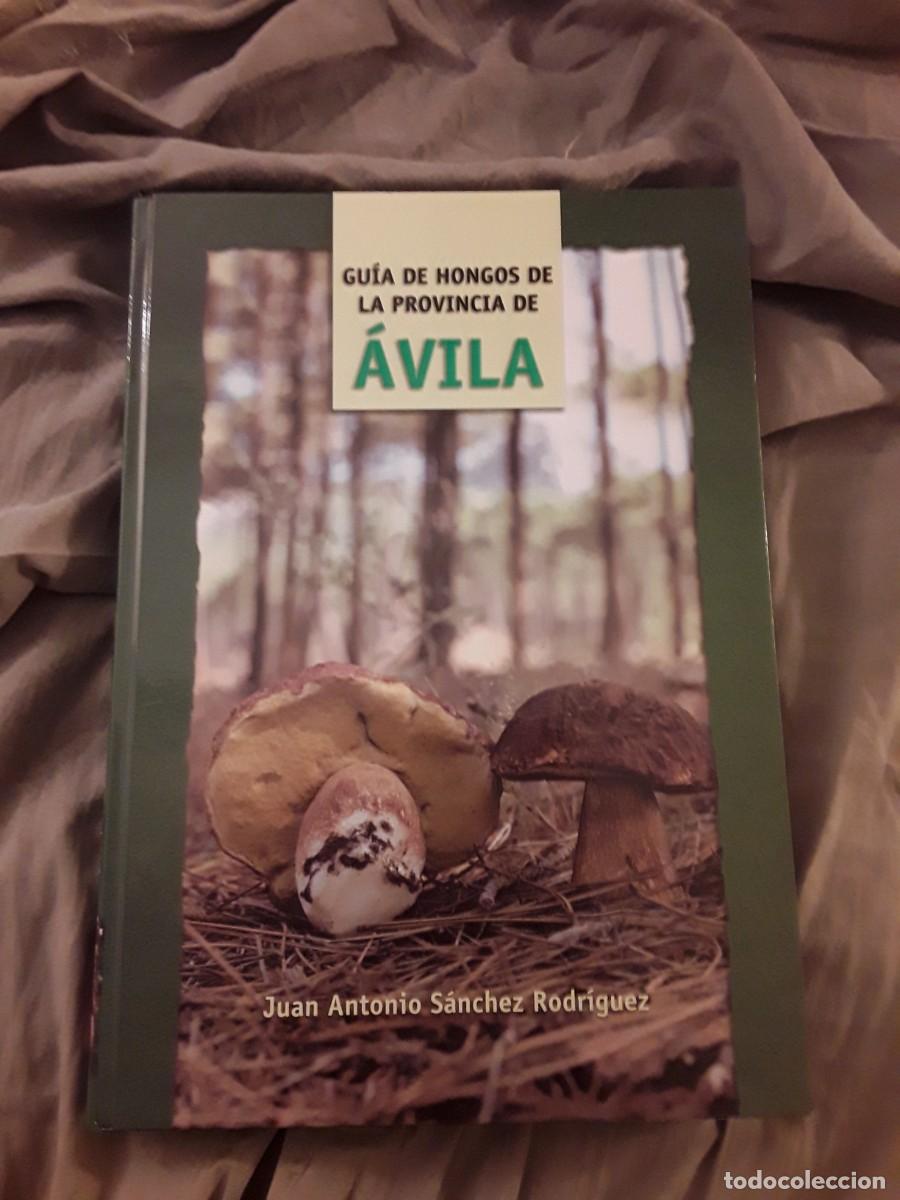 Libri di seconda mano: Gu&iacute;a de hongos de la provincia de &Aacute;vila, de Juan Antonio S&aacute;nchez Rodr&iacute;guez 1,8k