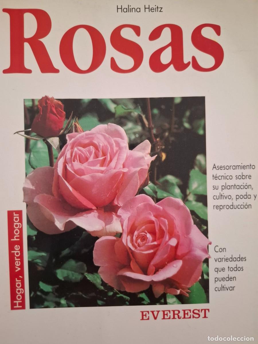 Libros de segunda mano: rosas Halina Heitz -ed everest- - Foto 1