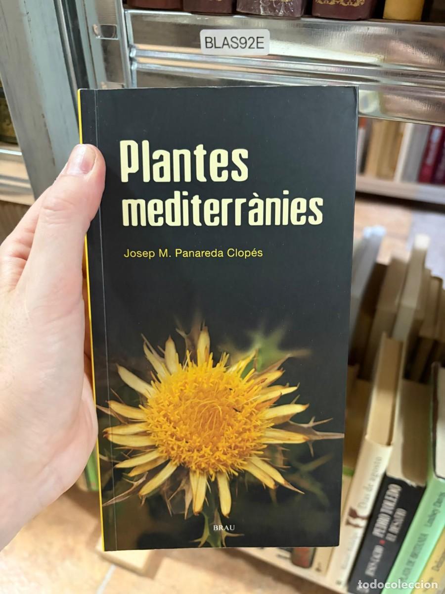 Gebrauchte B&uuml;cher: BLAS92E &mdash; Plantes mediterr&agrave;nies &mdash; Josep M. Panareda Clop&eacute;s &mdash; Brau Edicions