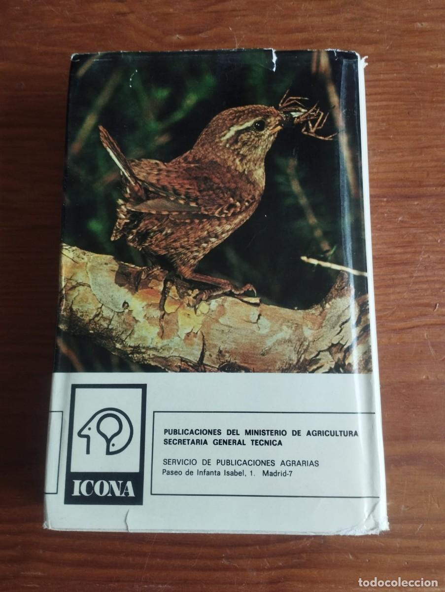 Libros de segunda mano: &rdquo;P&aacute;jaros de nuestros campos y bosques&rdquo; - Ceballos y Purroy - Foto 2