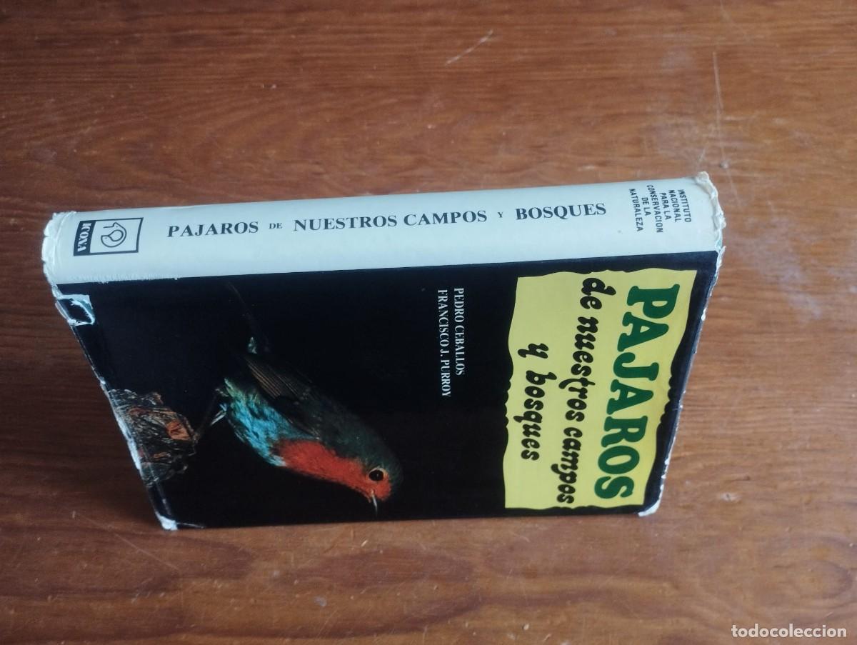 Libros de segunda mano: &rdquo;P&aacute;jaros de nuestros campos y bosques&rdquo; - Ceballos y Purroy - Foto 3