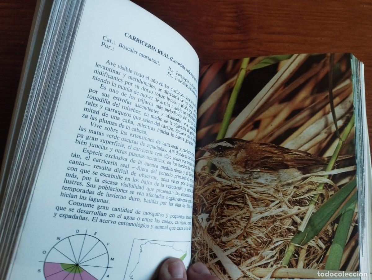 Libros de segunda mano: &rdquo;P&aacute;jaros de nuestros campos y bosques&rdquo; - Ceballos y Purroy - Foto 4
