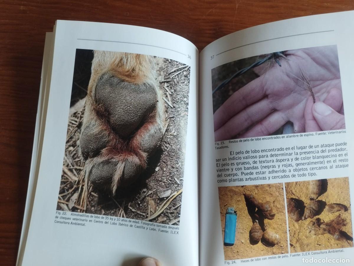 Libros de segunda mano: &rdquo;Peritaci&oacute;n de ataques de lobo a la ganader&iacute;a&rdquo; - Junta de CyL - Foto 2