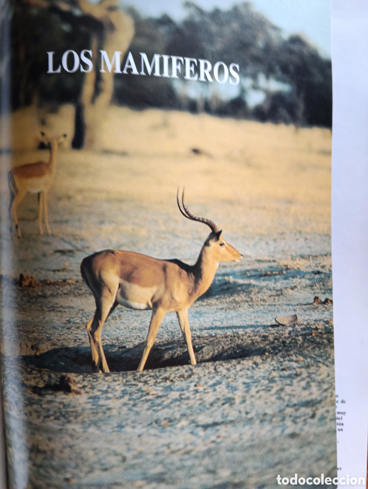 Libros de segunda mano: Desaf&iacute;os de la vida, Historia Natural vol. I - Foto 2