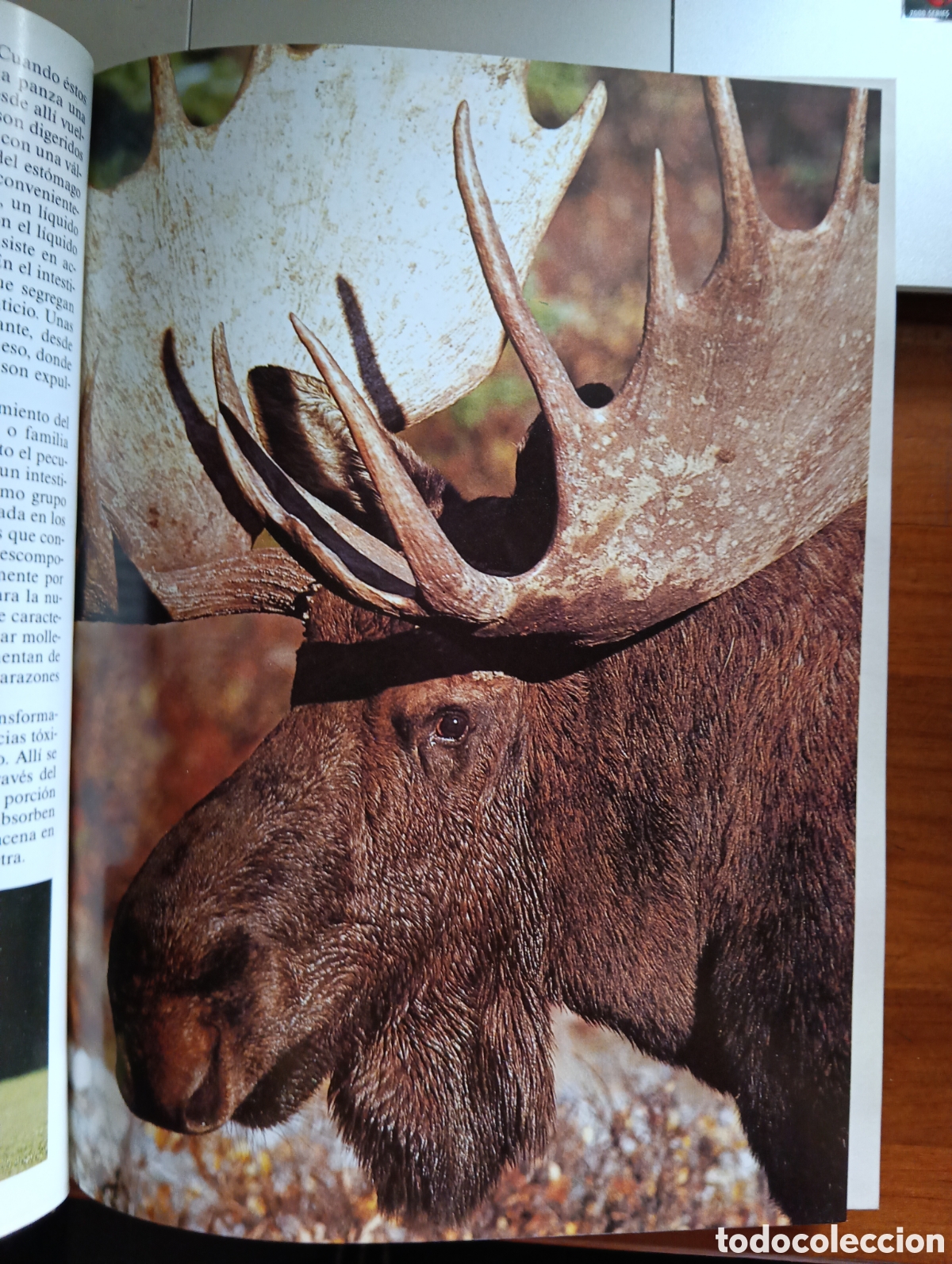 Libros de segunda mano: Desaf&iacute;os de la vida, Historia Natural vol. I - Foto 3