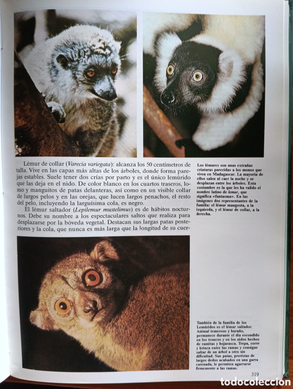 Libros de segunda mano: Desaf&iacute;os de la vida, Historia Natural vol. I - Foto 5