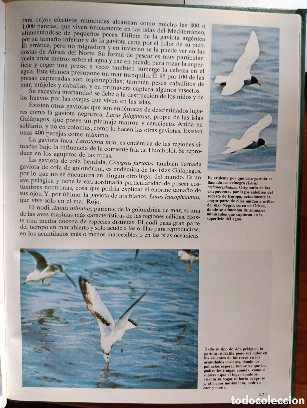 Libros de segunda mano: Desaf&iacute;os de la vida, Historia Natural vol. I - Foto 7