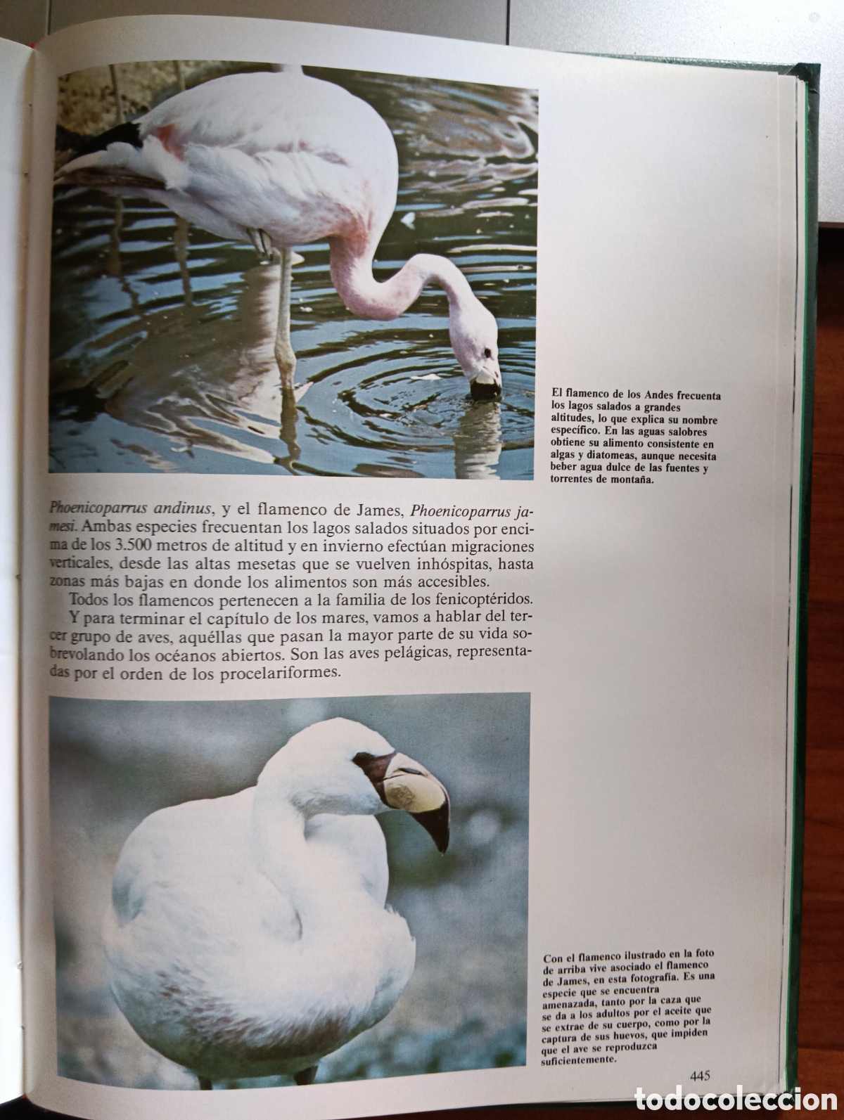 Libros de segunda mano: Desaf&iacute;os de la vida, Historia Natural vol. I - Foto 8