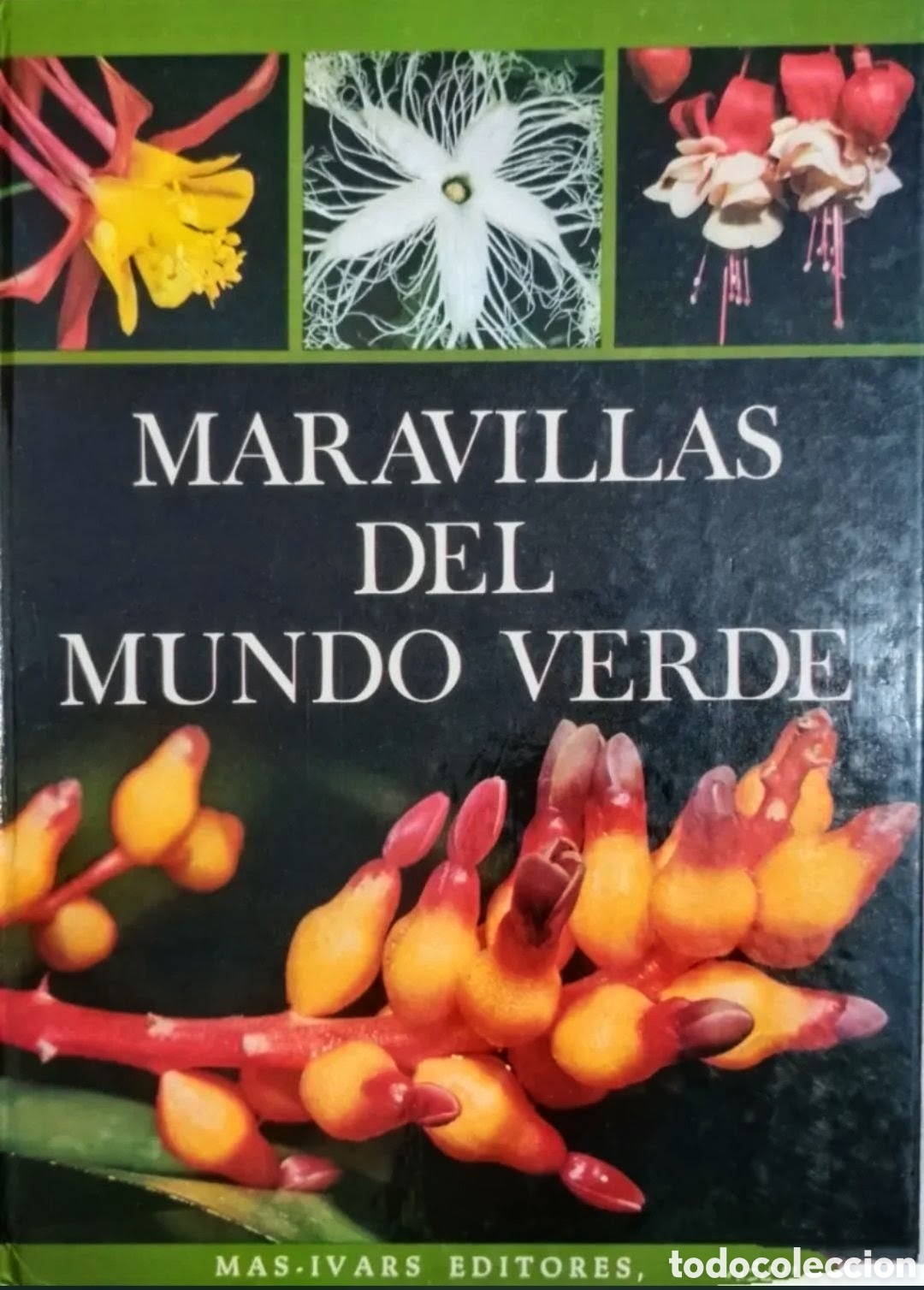 Libros de segunda mano: MARAVILLAS DEL MUNDO VERDE - Foto 1
