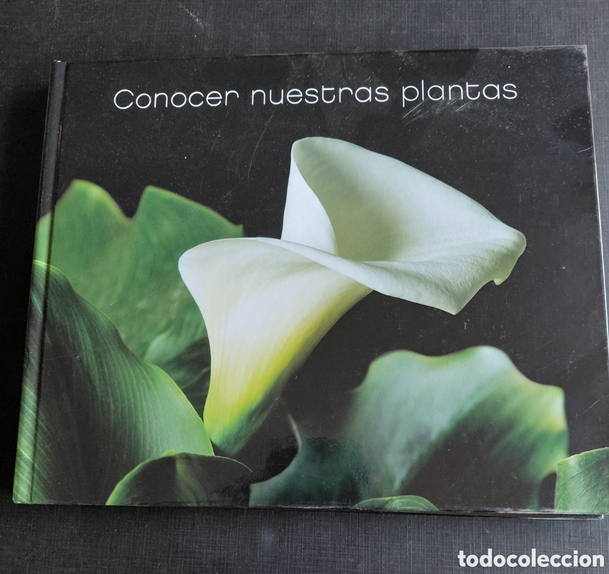 Libros de segunda mano: CONOCER A NUESTRAS PLANTAS.VV.AA. - Foto 1