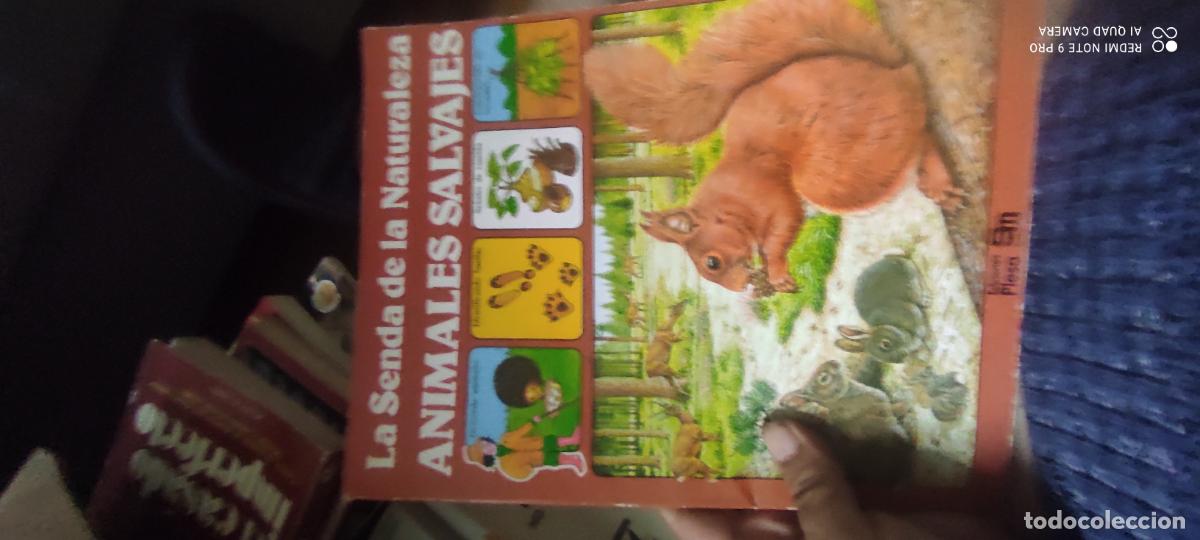 Libros de segunda mano: La Senda de la Naturaleza. Animales Salvajes. Plesa 1&ordf; Edici&oacute;n 1979.