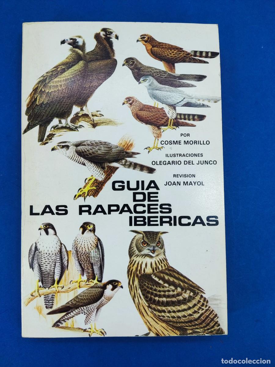Libros de segunda mano: GU&Iacute;A DE LAS RAPACES IBERICAS / COSME MORILLO / 1976