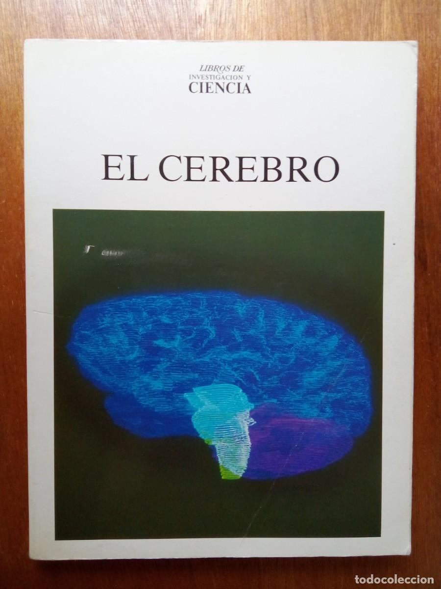 Libros de segunda mano: EL CEREBRO, LIBROS DE INVESTIGACION Y CIENCIA, EDITORIAL LABOR, 1980