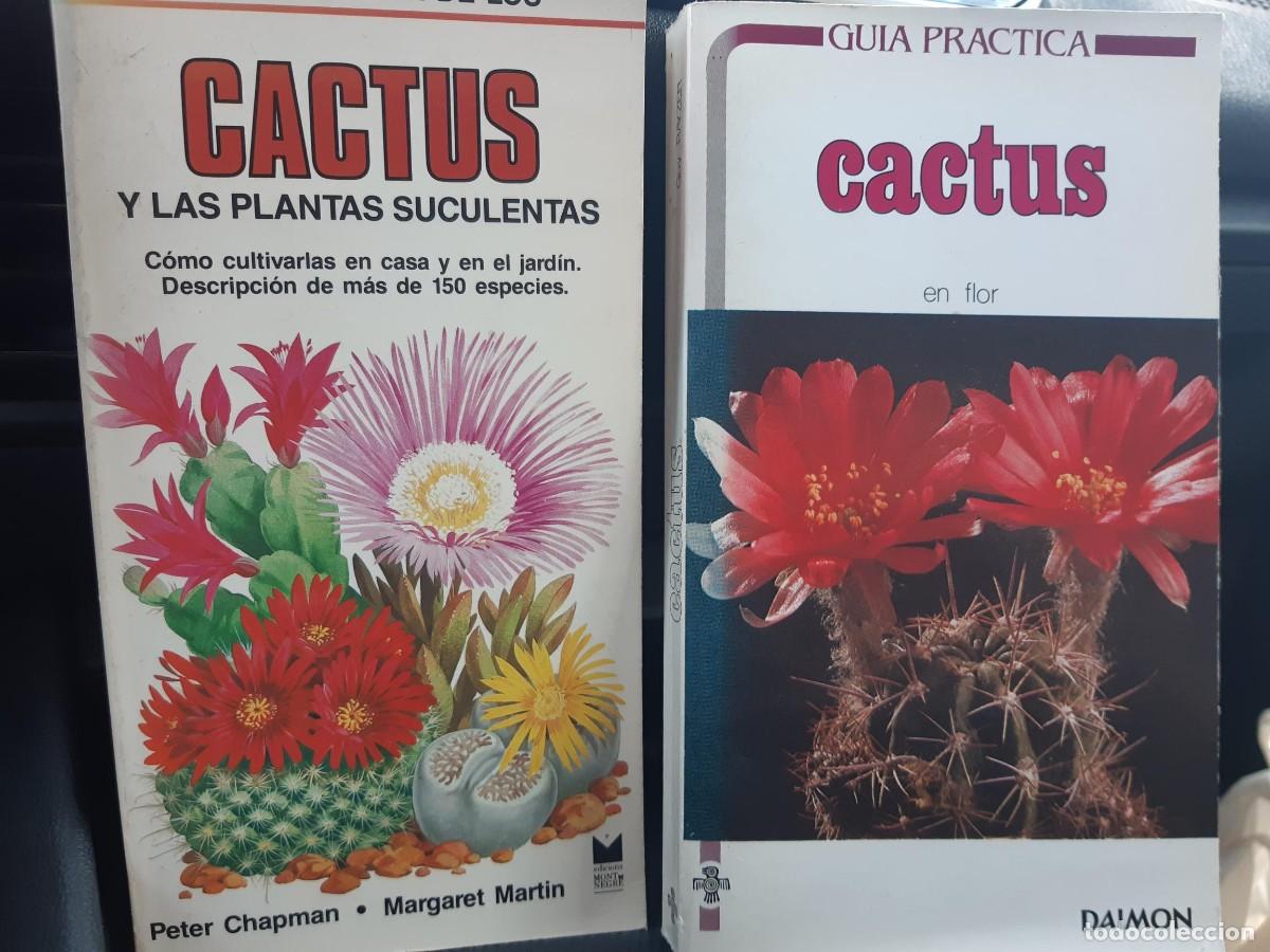 Libros de segunda mano: CACTUS EN FLOR + CACTUS Y LAS PLANTAS SUCULENTAS PETER CHAPMAN GUY RAYZER