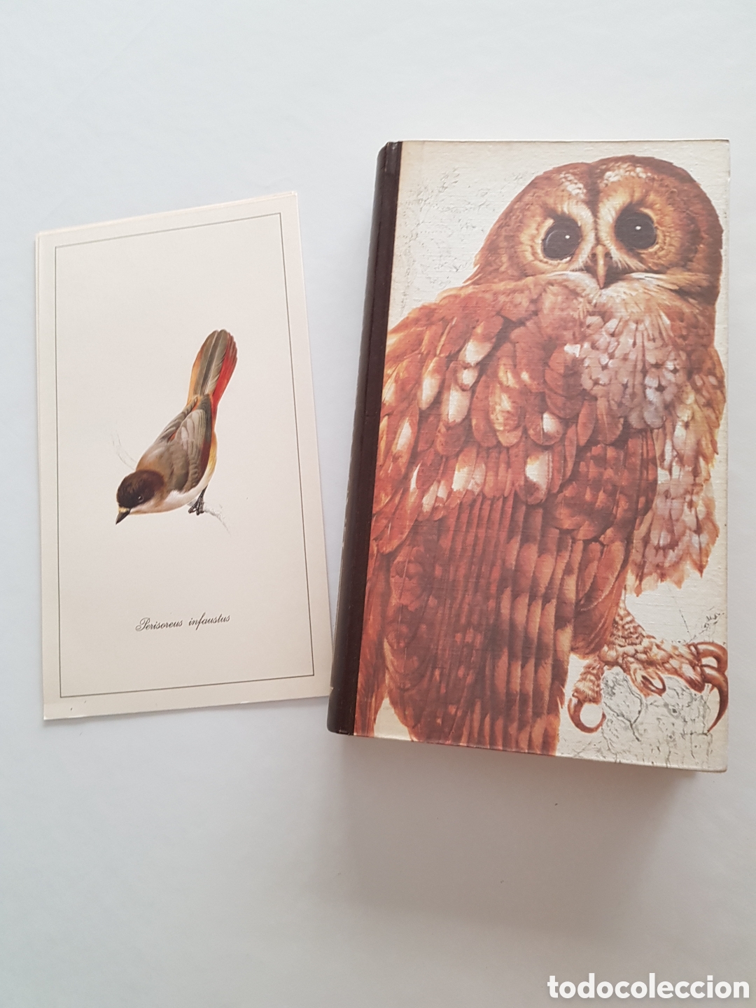 Libros de segunda mano: El libro de las aves de Espa&ntilde;a. Reader's Digest