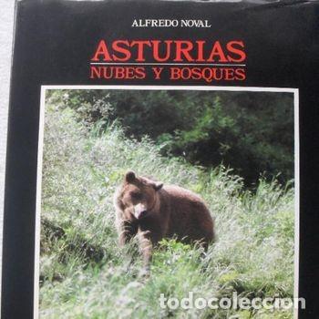 Libros de segunda mano: Asturias nubes y bosques Alfredo Noval 1983 Libro naturaleza barato oferta PEIFER