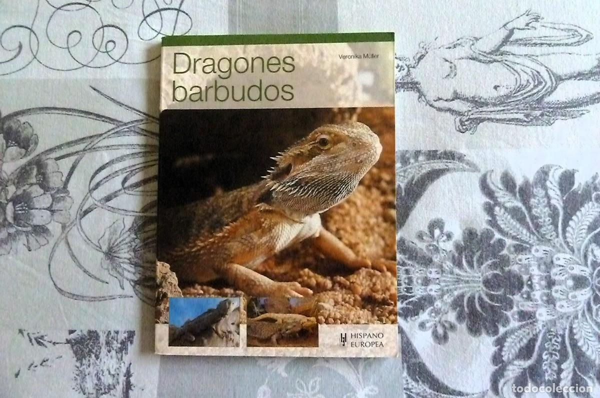 Libros de segunda mano: Dragones Barbudos. Veronika M&uuml;ller - Foto 1
