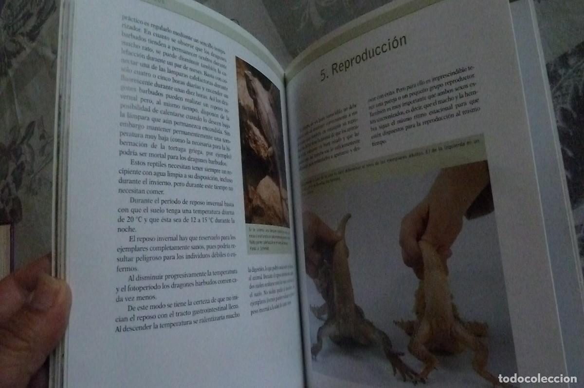 Libros de segunda mano: Dragones Barbudos. Veronika M&uuml;ller - Foto 5
