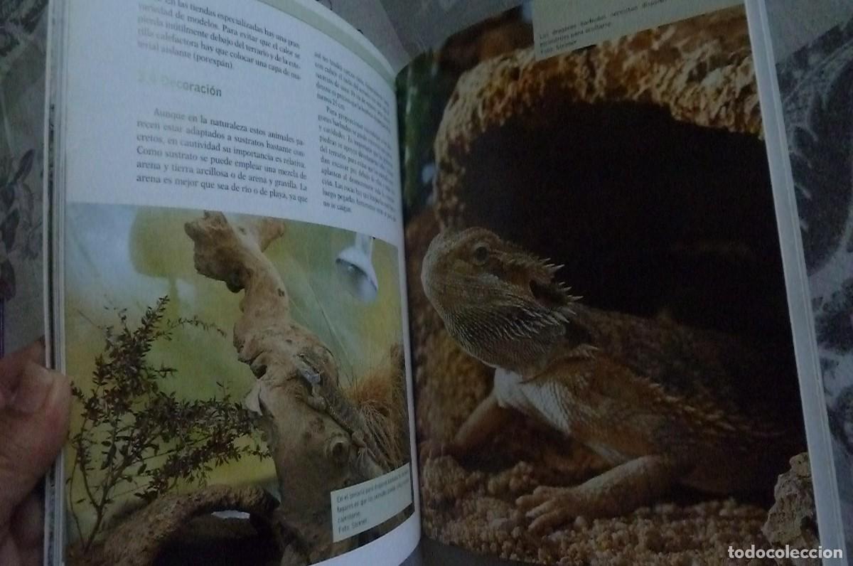 Libros de segunda mano: Dragones Barbudos. Veronika M&uuml;ller - Foto 6